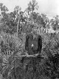 do-the-seminole-indians-still-live-in-the-everglades