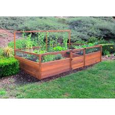 Vegetable Garden Raised Beds