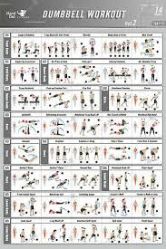 C 51 Bodybuilding Fitness Dumbbell Workout Vol 1 Gym Chart