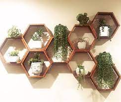 Plant Wall Decor Hexagon Shelves