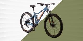 the 10 best mountain bikes best