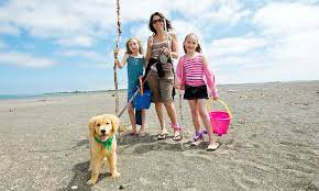 how pet friendly is st augustine