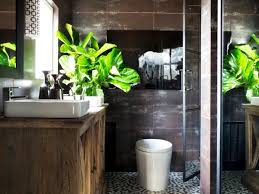 decorate your bathroom with plants