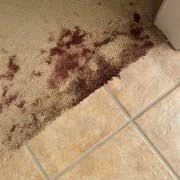 dave s carpet cleaning 21 photos 57