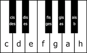 Finde das mittlere c (c4) auf deinem klavier oder keyboard. Klaviatur Die Schwarzen Tasten Klavierspielen Lernen Noten Lernen Klavier Lernen