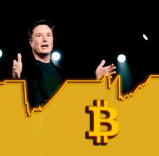 Tesla's foray into bitcoin smashed price records—and got plenty of reactions on twitter. 8vqmxvmslrelbm