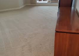 of carpets naples florida carpet