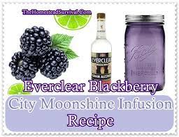 everclear blackberry city moonshine