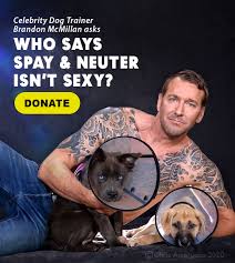 Register using email with subject: The Lucy Pet Foundation Free Spay And Neuter Mobile Clinic