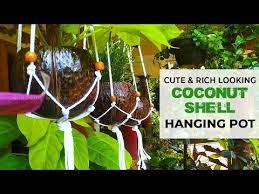 Coconut S Hanging Pot ച രട ട