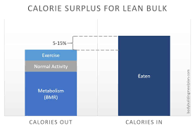 lean bulk macros calculated for you