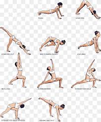 yoga series png images pngwing