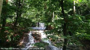 Top hotels close to forest research institute of malaysia. Easy Jungle Trekking Frim Forest Research Institute Malaysia The Yoga Wanderlust