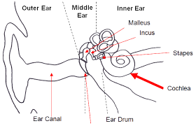 hearing hearing loss audiology