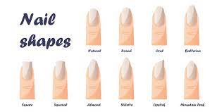 set of nail shapes oval square