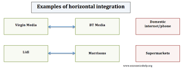 Horizontal Integration Definition Economics Help