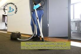 carpet pet odor removal carpet