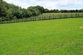 Keep the following tips and ideas in mind as you begin clearing out a timber tract for your homestead. Tips For Clearing Land For Pasture