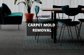how to remove mold from carpet with