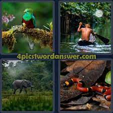 4 pics 1 word daily puzzle january 25