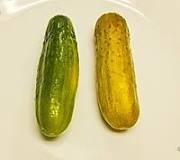 What are tiny pickled cucumbers called?