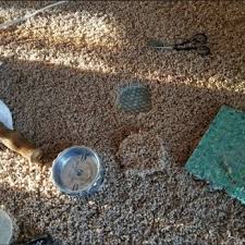 osceola wisconsin carpet cleaning