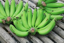 Selain di cilacap sekarang ini telah ada banyak juga pengusaha sale pisang yang tersebar di seluruh wilayah nusantara. Pisang Uli Adalah Aneka Olahan Manfaat Gambar Harga
