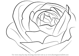 how to draw a rose bud rose step by