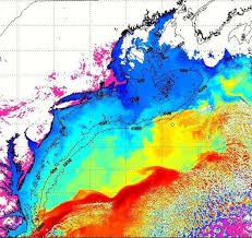 Satellite Imagery Imcs Coastal Ocean Observation Lab
