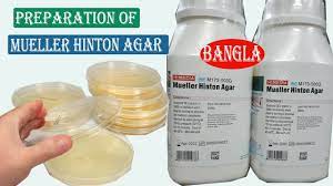 preparation of mueller hinton agar