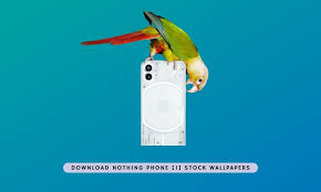 nothing phone 1 stock