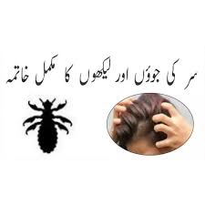 anti lice hair oil 100 original tara