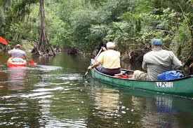 Check spelling or type a new query. Hillsborough County Canoeing And Kayaking In Hillsborough County