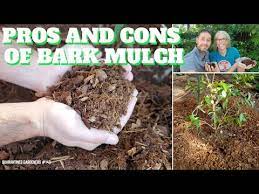 pros and cons of bark mulch qg day
