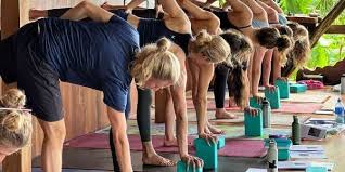 yoga training in india nalanda retreat