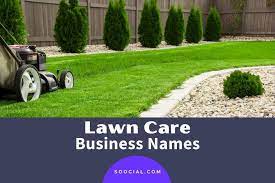 747 Lawn Care Business Name Ideas You