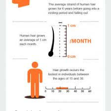 interesting facts about your hair