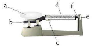 triple beam balance parts flashcards