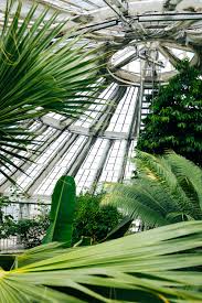 plants inside palmehuset botanical
