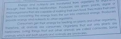 The written words in a book, magazine, etc., not the pictures: Questions 1 What Is The Text About 2 What Are The Two Organisms Stated From The Text 3 How Is The Brainly Ph