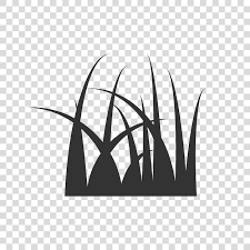 Flat Style Eco Lawn Vector Ilration
