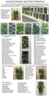Vertical Garden And Plant Selection