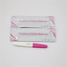 We did not find results for: China Accuracy Rapid Easy Use Hcg Urine Pregnancy Test Strips China Test Strip Pregnancy Test