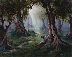 gethsemane his will lucy ens