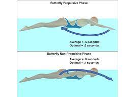 maximizing swimming velocity part 7