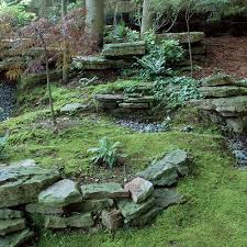 how to use moss in the landscape