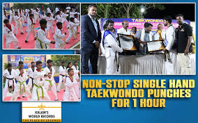 non stop single hand taekwondo punches