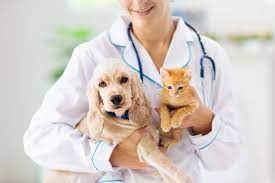 why banfield pet hospital has the best