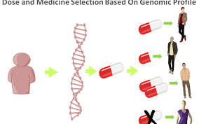 pharmacogenetics involves variations in