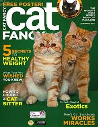 Classified ads and escorts guide. Cat Fancy Magazine Promo In Uncategorized Fancy Cats Fancy Dog Cats